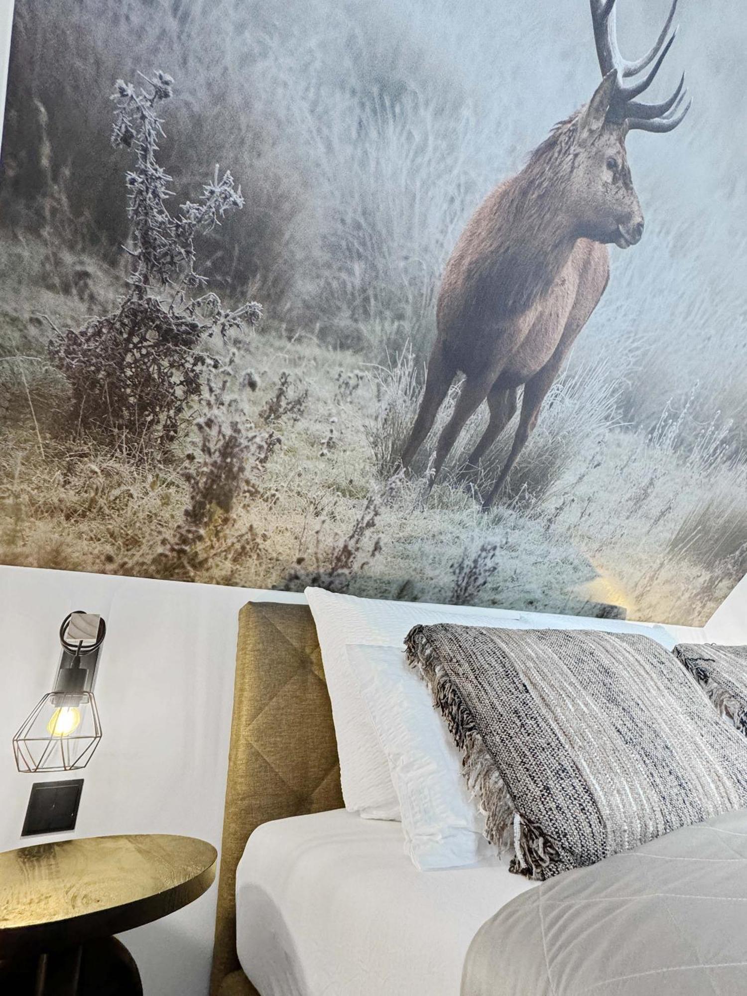 Cblue: Seeblick, Kamin, Wallbox, Natur Bentwisch エクステリア 写真